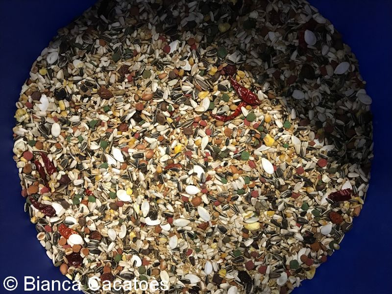 1 Alimentation Mélange graines perroquets 1