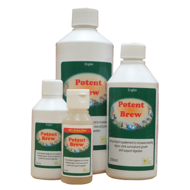 Potent Brew probiotique pour oiseaux de cage