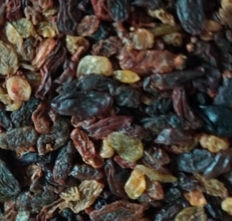 raisins secs pour perroquets