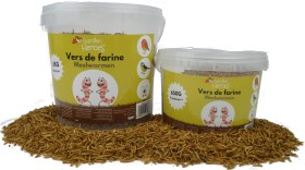 vers de farine