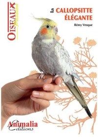 Guide de la callopsitte élégante
