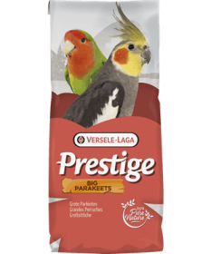 mélange graines pour Toui Celeste