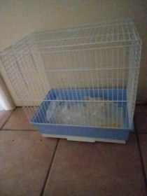 cage primo pour oiseau