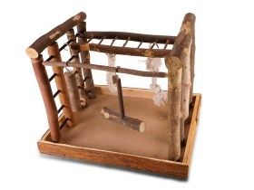 Aire de jeu perroquet