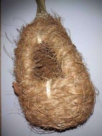 Nid coco bambou pour exotiques