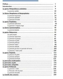 Les secrets des becs crochus au Maroc