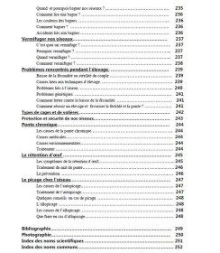 Les secrets des becs crochus au Maroc