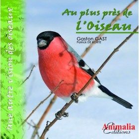 Livre au plus près de l'oiseau