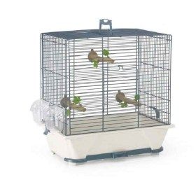cage primo pour oiseau