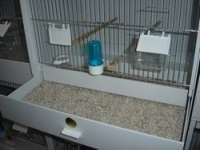 PREPARATION DE MES CAGES POUR OISEAUX AFRICAINS