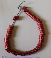 guide pour baguer les oiseaux