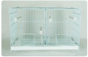 Les accessoires pour oiseaux